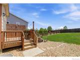 2273 Stonefish Drive - Photo 31