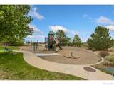 16469 Essex Road - Photo 35