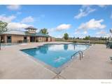 16469 Essex Road - Photo 36