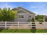 6739 Snowdon Drive - Photo 39