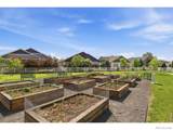 6739 Snowdon Drive - Photo 42