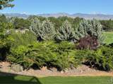 8847 Spring Creek Trail - Photo 46