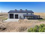 42635 County Road 51 - Photo 3
