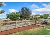 6558 Rookery Road - Photo 39