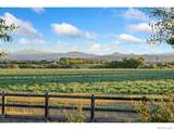 6558 Rookery Road - Photo 43