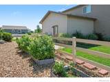 7467 Horsechestnut Street - Photo 30