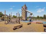 2639 Walkaloosa Way - Photo 45