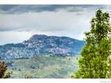 4833 Prairie Vista Drive - Photo 11