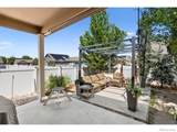 438 Ptarmigan Street - Photo 36