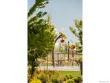 729 Gold Hill Drive - Photo 43