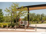 729 Gold Hill Drive - Photo 44
