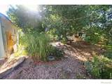 914 Carson Street - Photo 23