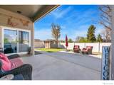 938 Scotch Pine Drive - Photo 32