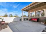 938 Scotch Pine Drive - Photo 33