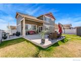 938 Scotch Pine Drive - Photo 35