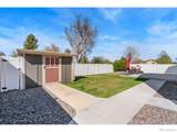938 Scotch Pine Drive - Photo 38