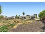 415 Woodward Avenue - Photo 15