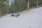 30162 Pine Crest Drive - Photo 40