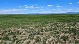 31 Colorado Land & Livestock - Photo 3
