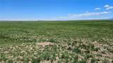 31 Colorado Land & Livestock - Photo 4