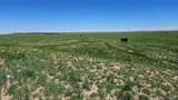 31 Colorado Land & Livestock - Photo 5