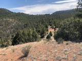  Tbd Cathedral Trail - Photo 8