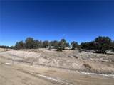10118 Rawhide Creek Road - Photo 17