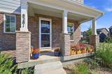 8281 Hunts Peak Street - Photo 30