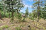 10142 Turkey Creek Road - Photo 41