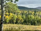 Lot 2843 Wendt Lane - Photo 2