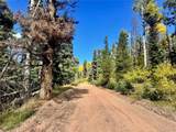 Lot 2843 Wendt Lane - Photo 11