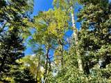 Lot 2843 Wendt Lane - Photo 12