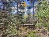 Lot 2843 Wendt Lane - Photo 3