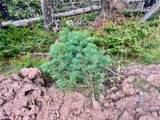 Lot 2843 Wendt Lane - Photo 6