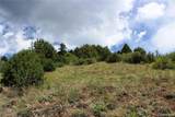 200 Two Brothers Road - Photo 13