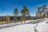 13144 Pine Country Lane - Photo 22