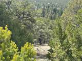 338 Cedar Ridge Road - Photo 13