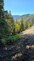 Democrat Mountain Claims - Photo 12