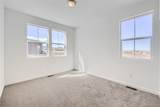 9152 Gladiola Way - Photo 5