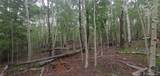 Lot 5837 Sheldon Road - Photo 7