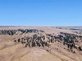 32030 Cattle Circle - Photo 36