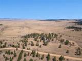 32030 Cattle Circle - Photo 39
