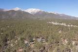 16165 Burt Gulch Road - Photo 3