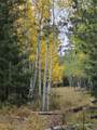 000 Rampart Range - Photo 2