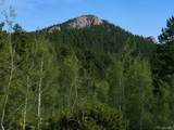 11957 Elk Trail Road - Photo 5