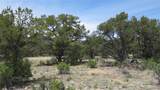 28924 Timber Ridge - Photo 22