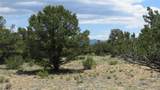 28924 Timber Ridge - Photo 23