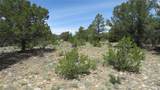 28924 Timber Ridge - Photo 24