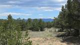 28924 Timber Ridge - Photo 30