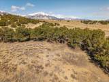 10246 Rawhide Creek Road - Photo 11